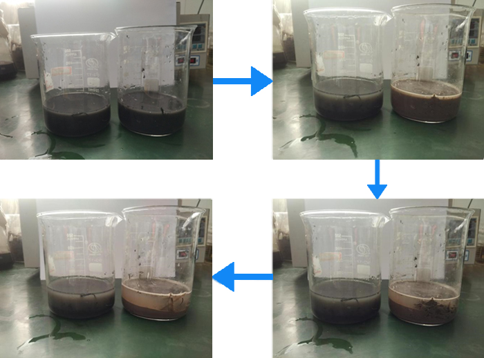 Bacto-Zyme 1011系列颗粒生物酶生态清淤实验效果对比图