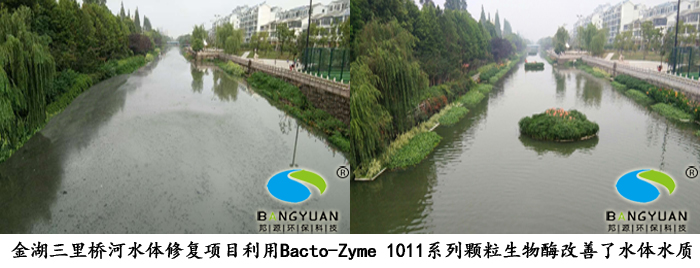 Bacto-Zyme 1011系列颗粒生物酶应用于项目效果图