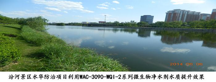 邦源环保降氨氮产品WAC-3090-WQI-2系列微生物净水剂应用于项目效果图