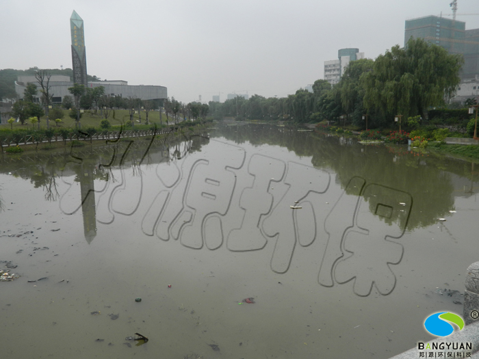 黑臭河道生物生态修复治理前效果图