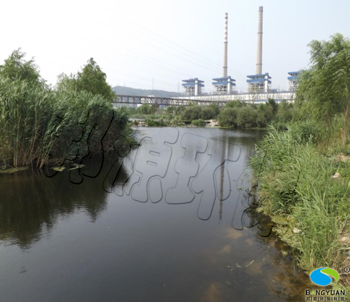 经过水体生物应急治理后，浮萍消除，水体表观恢复