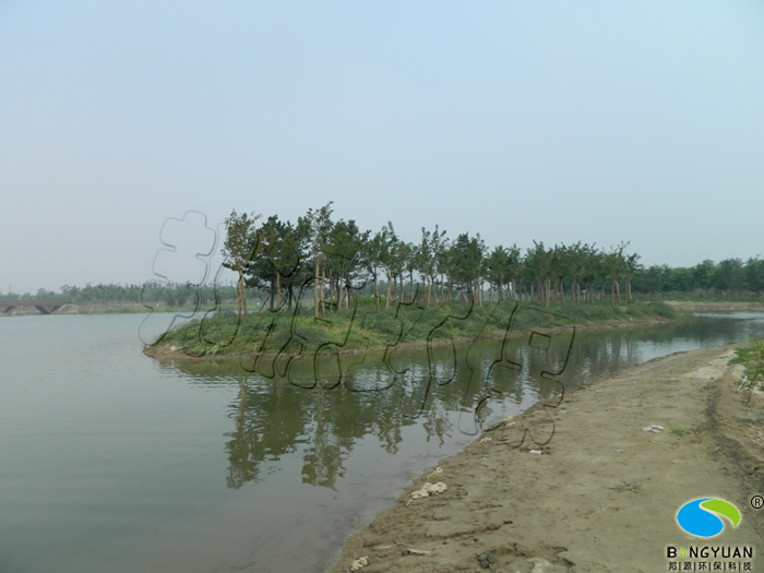 大湖区水绵治理后，水绵完全消除，腥臭味消失