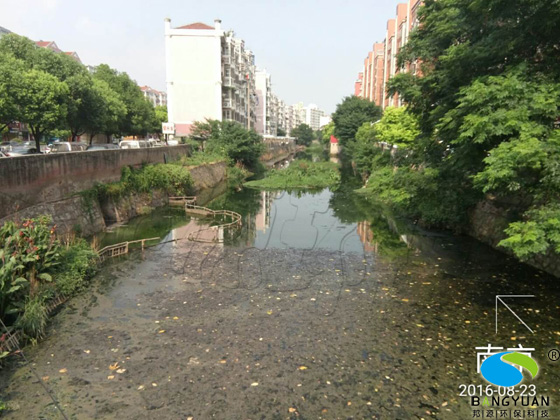 鞭鞍河河道生物治理项目治理前