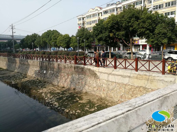 南京市委督查室领导检查我司鞭鞍河、中心河黑臭河道生物治理项目