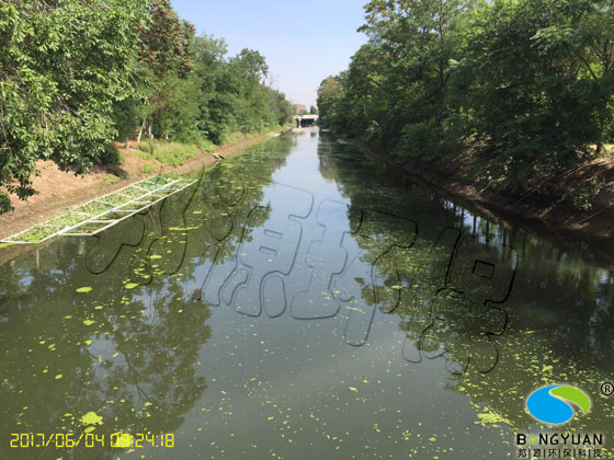 天津河道生物治理项目治理前