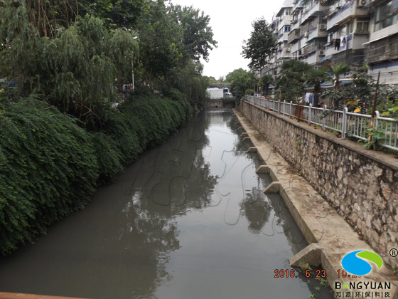 中保河黑臭河道治理前