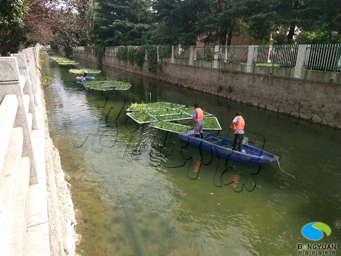 通过多种技术构建水体生态系统，改善水质，治理后，水体清澈见底，水质大幅度提升