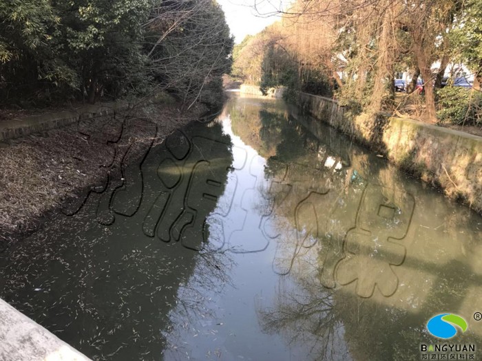 治理前，潘甲里河道水体浑浊，水质差