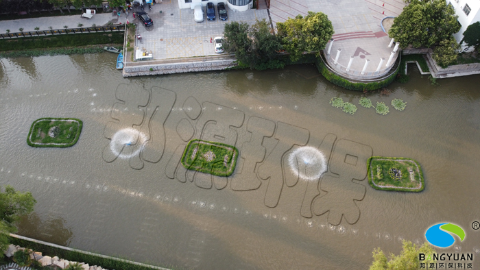 浮动湿地在项目中的应用效果图