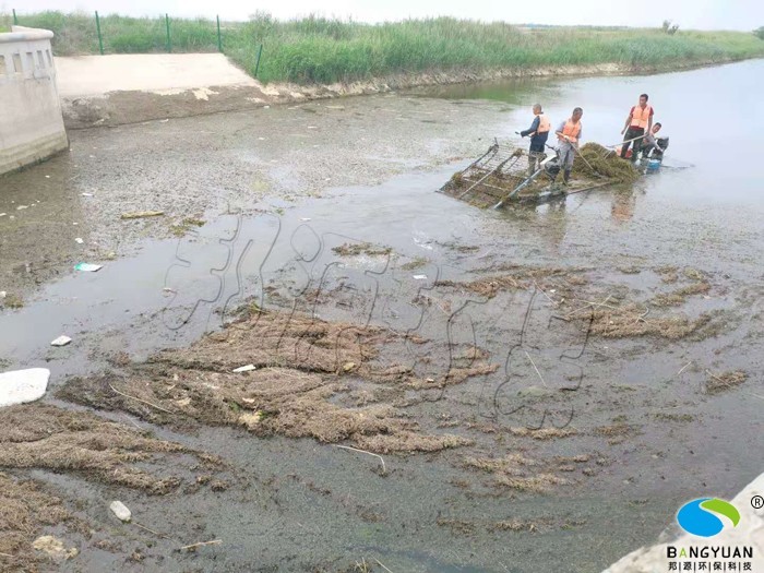 简易割草船收割水草、水绵、浮萍